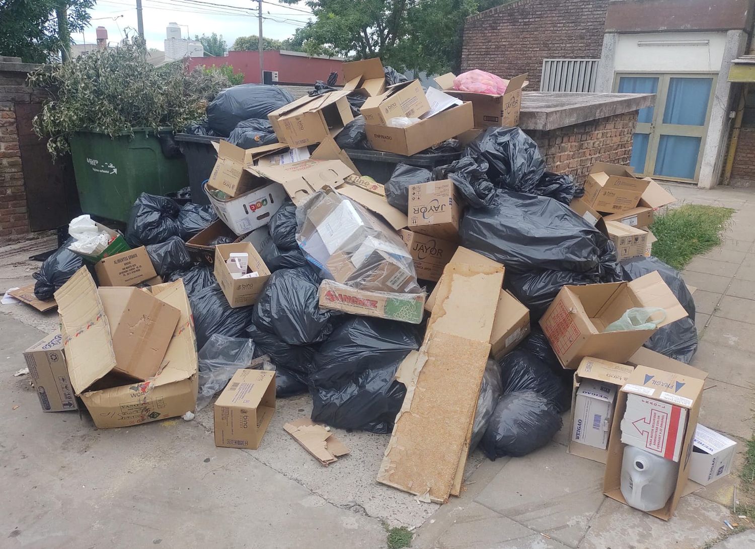 Hospital de moscas con basura