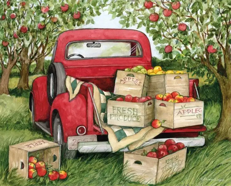 Sidras de manzana, peras, entre las más comunes en Argentina.