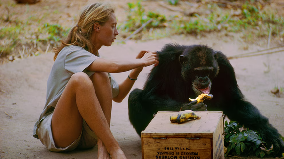 Murió Jane Goodall, la reconocida defensora de los derechos de los animales