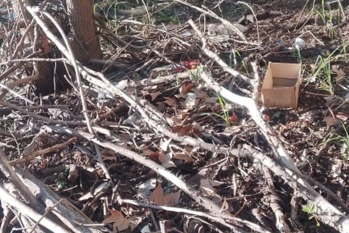 Recolectaron 15 bolsas de residuos en el río Gualeguaychú