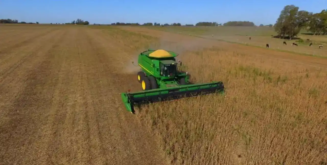 Productores liquidaron 8 millones de toneladas a valor del dólar soja