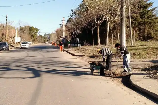 Tránsito e higiene: aplicarán una ordenanza para mejorar el barrido