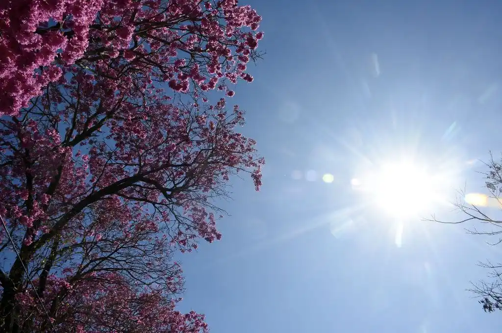 Viernes agradable en la ciudad de Santa Fe