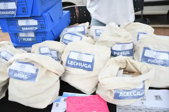 “Cosechando Saberes”: Invitan al taller sobre autoproducción de semillas