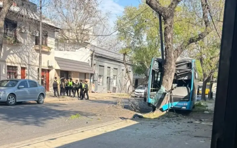 Un colectivero chocó contra un árbol en barrio Agote terminó lastimado junto a siete pasajeros