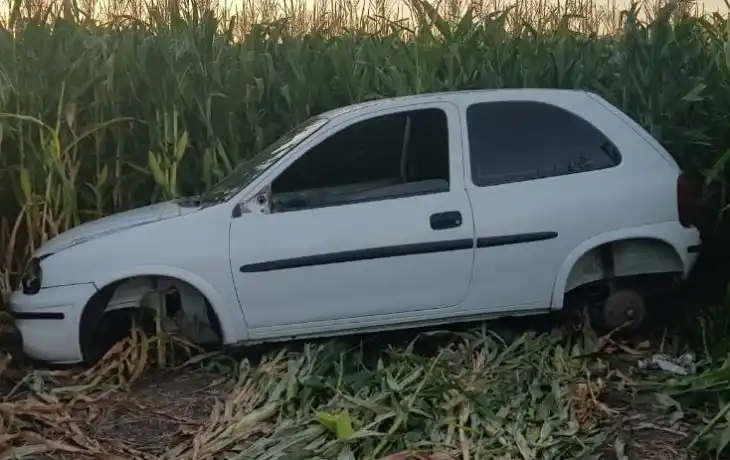 Roban y desarman vehículos