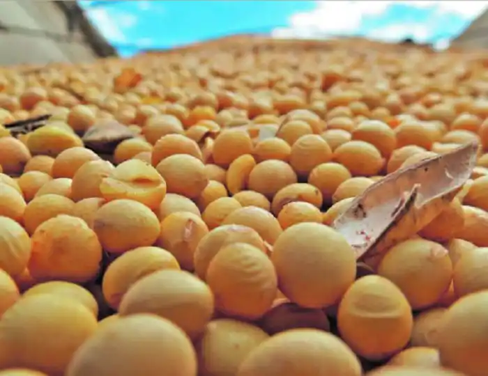 Coopar organiza una jornada sobre clima y nuevas variedades de soja