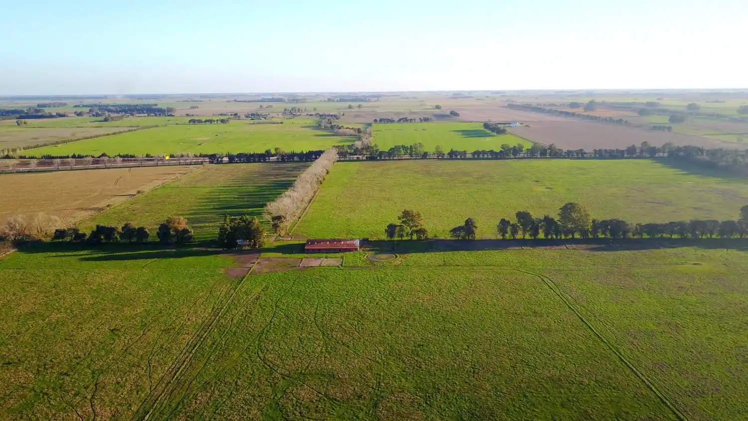 Exaltación de la Cruz: Habilita salidas por cuestiones médicas pero no las recreativas