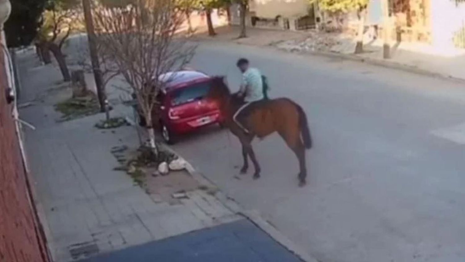 Un hombre intentó hurtar un inodoro y otro huyó a caballo tras robar un auto