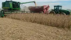 Por falta de Gasoil, peligra la cosecha de soja y la siembra de trigo