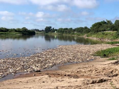 Alta contaminación del río Salado: cuestiones para ir pensando, según el informe del Conicet