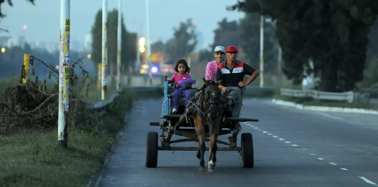 Campana: Proponen creación de banco solidario de bicicletas para reemplazar carros tirados por caballos