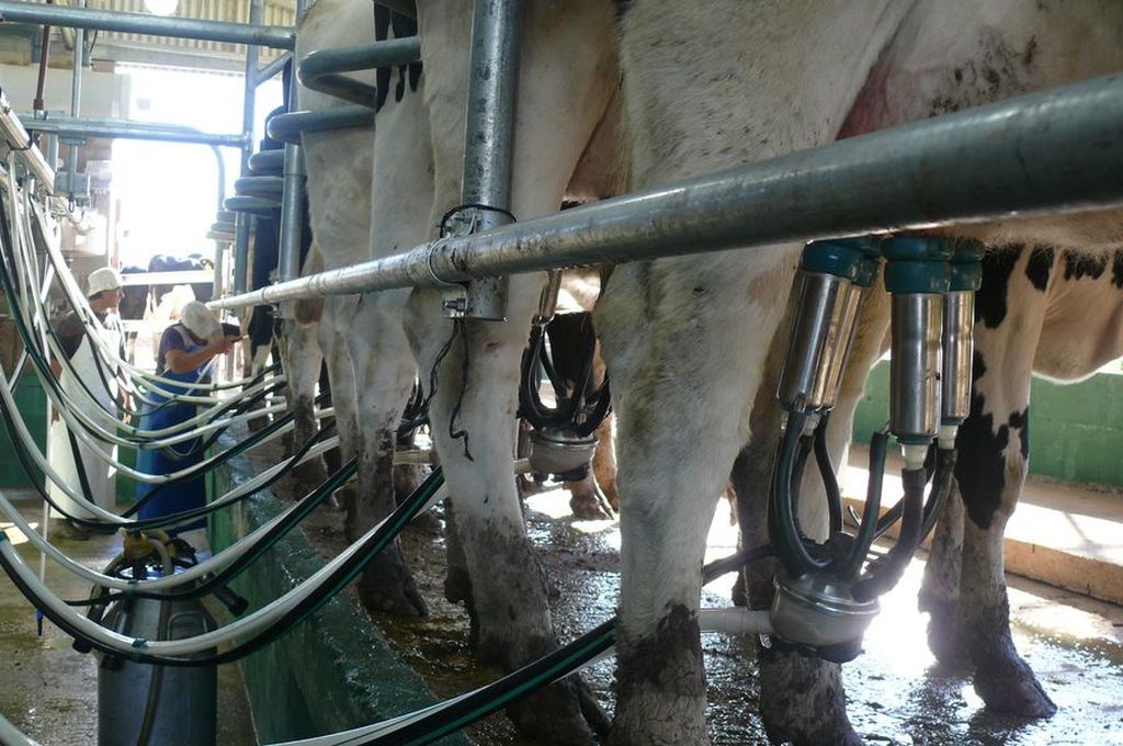 Con los datos de diciembre el OCLA determinó que las usinas pagaron $3,31 más por cada litro respecto de su capacidad, mientras a los productores les faltaron $5.66 para cubrir sus costos.