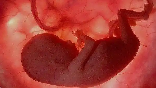 Comienza el debate sobre aborto en la Cámara de Diputados