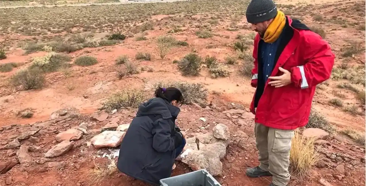 Neuquén: encontraron el fémur de un titanosaurio de más de 12 metros