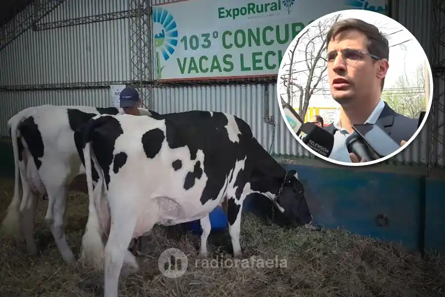 Está en marcha la ExpoRural: “Es la muestra natural de lo que somos como rafaelinos y en la región”