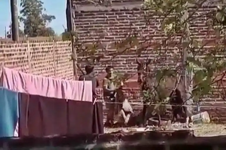 �SBajo ningún concepto se justifica la crueldad animal⬝, dijo el Fiscal Amaya