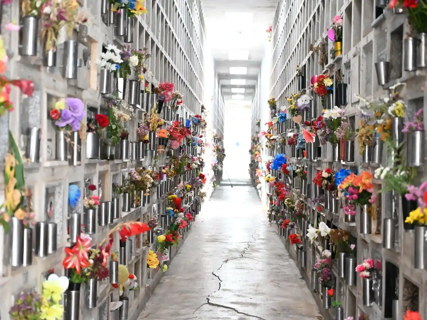 Desde el Cementerio Norte promueven el uso de arena para prevenir el dengue