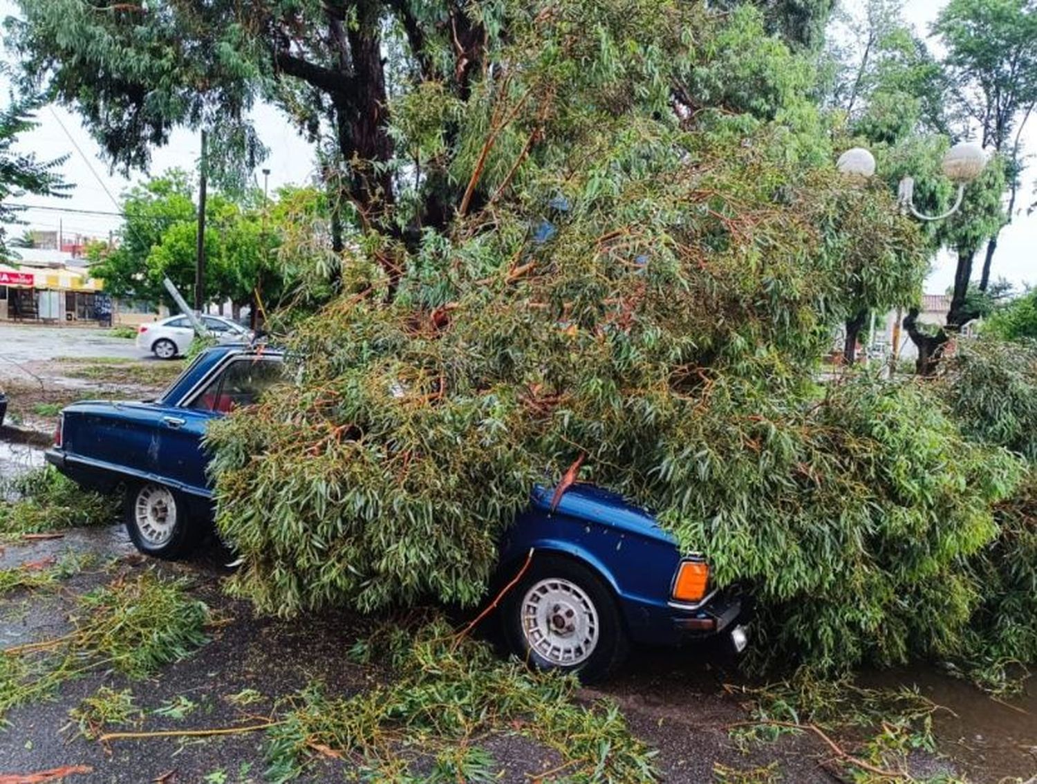 Un temporal de lluvia, viento y granizo ocasionó graves destrozos en Miramar