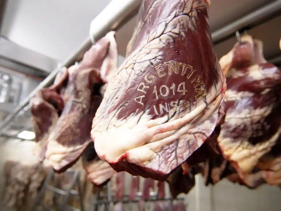 Agricultura abrió el plazo para que empresas accedan al cupo de exportación de carne a EE.UU.