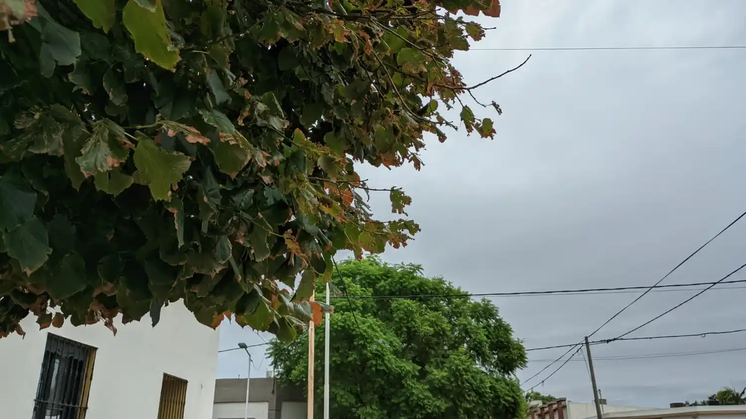 Clima: tras el “verano más cálido registrado en la Argentina”, cómo seguirá el otoño