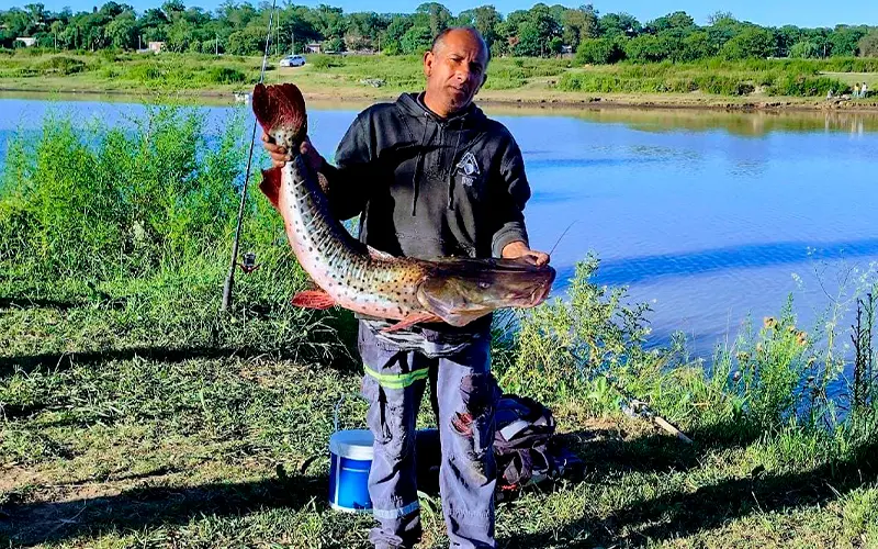 Sergio “Pato” Franzoy pescó un surubí de 13 kg en el puerto