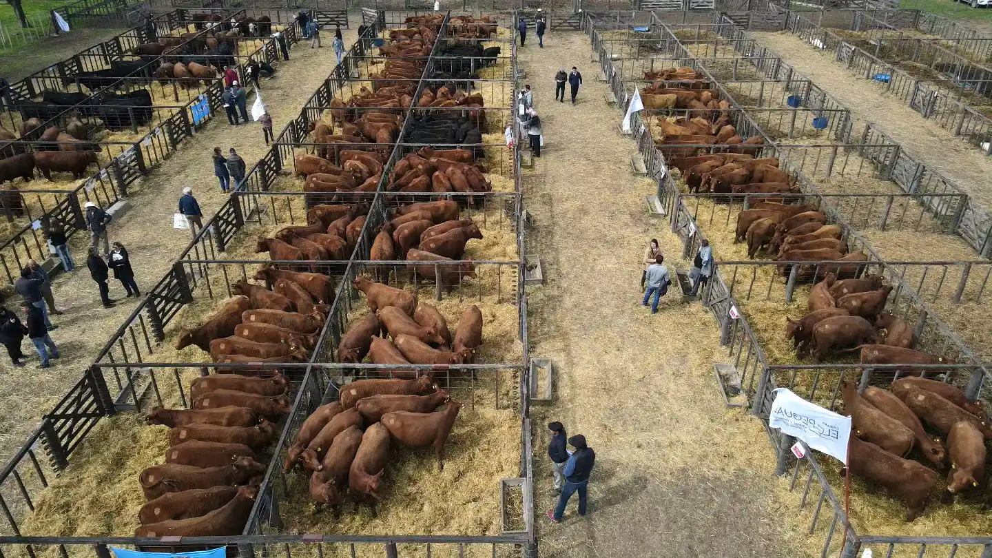 “De Productores para Productores”, un proyecto que vivió otro exitoso capítulo