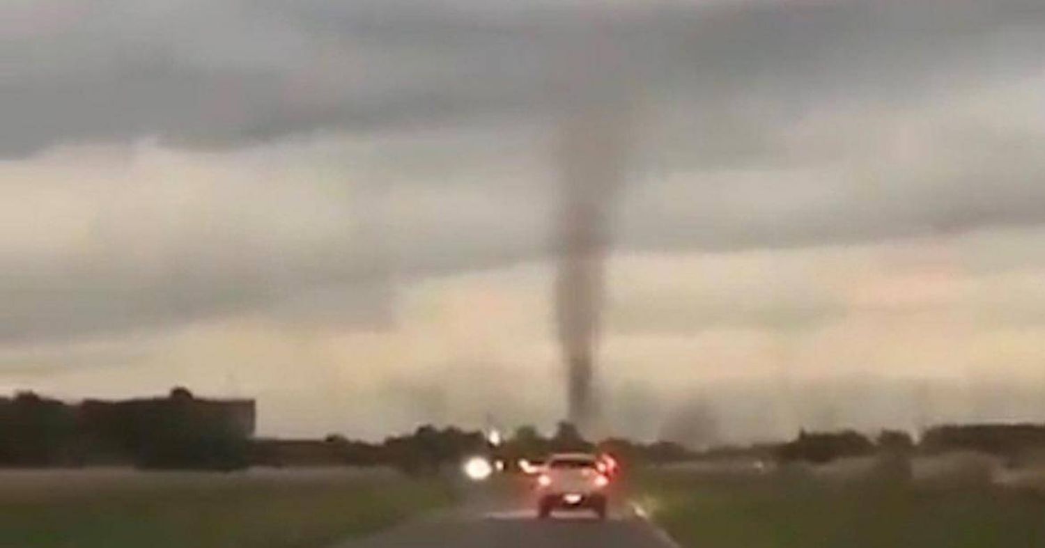 Ataque de un tornado de mosquitos a turistas en la Costa Atlántica