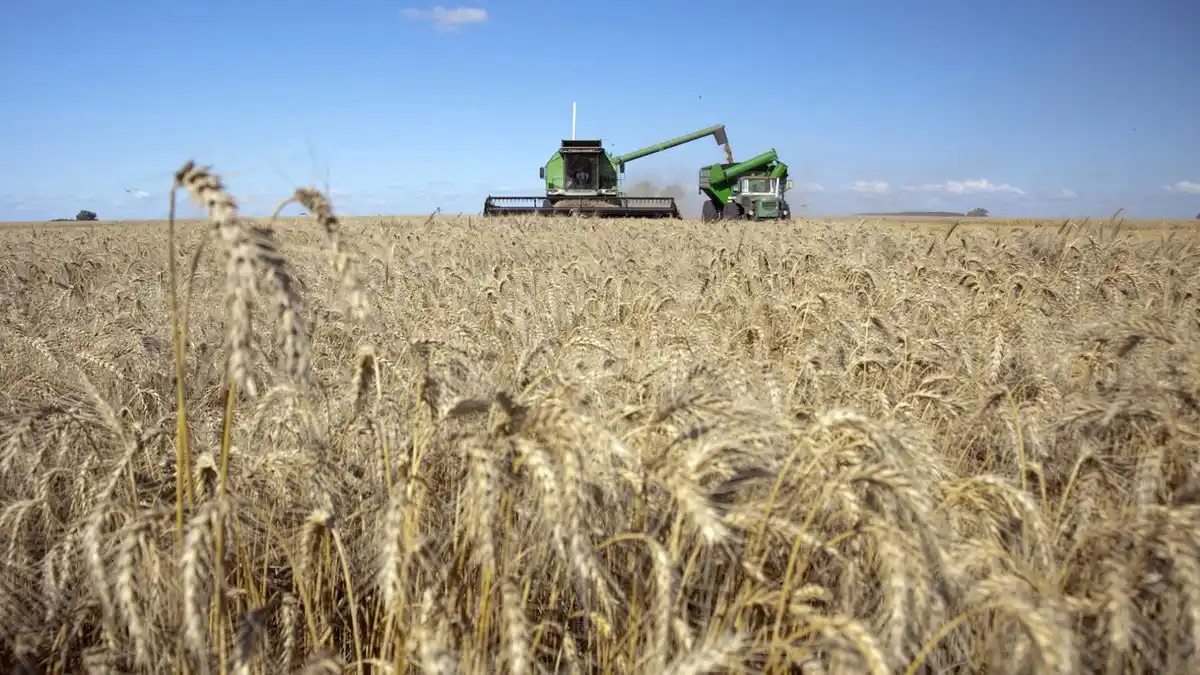 El buen clima acompañó a la cosecha de todos los cultivos