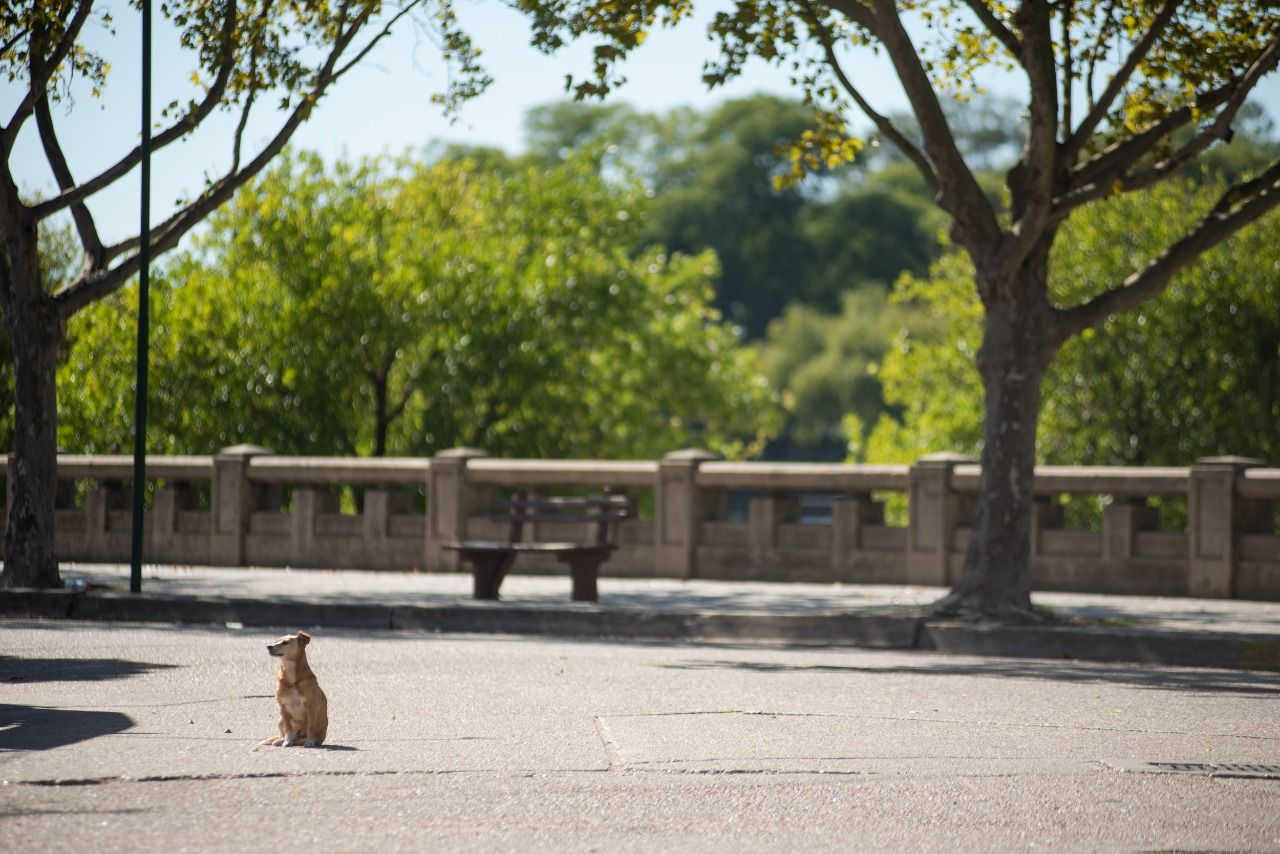 Gualeguaychú adhirió a la Red Argentina de Municipios frente al Cambio Climático
