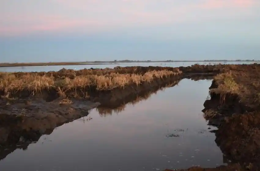 Se encontraron 60 canales ilegales en los campos de toda la provincia