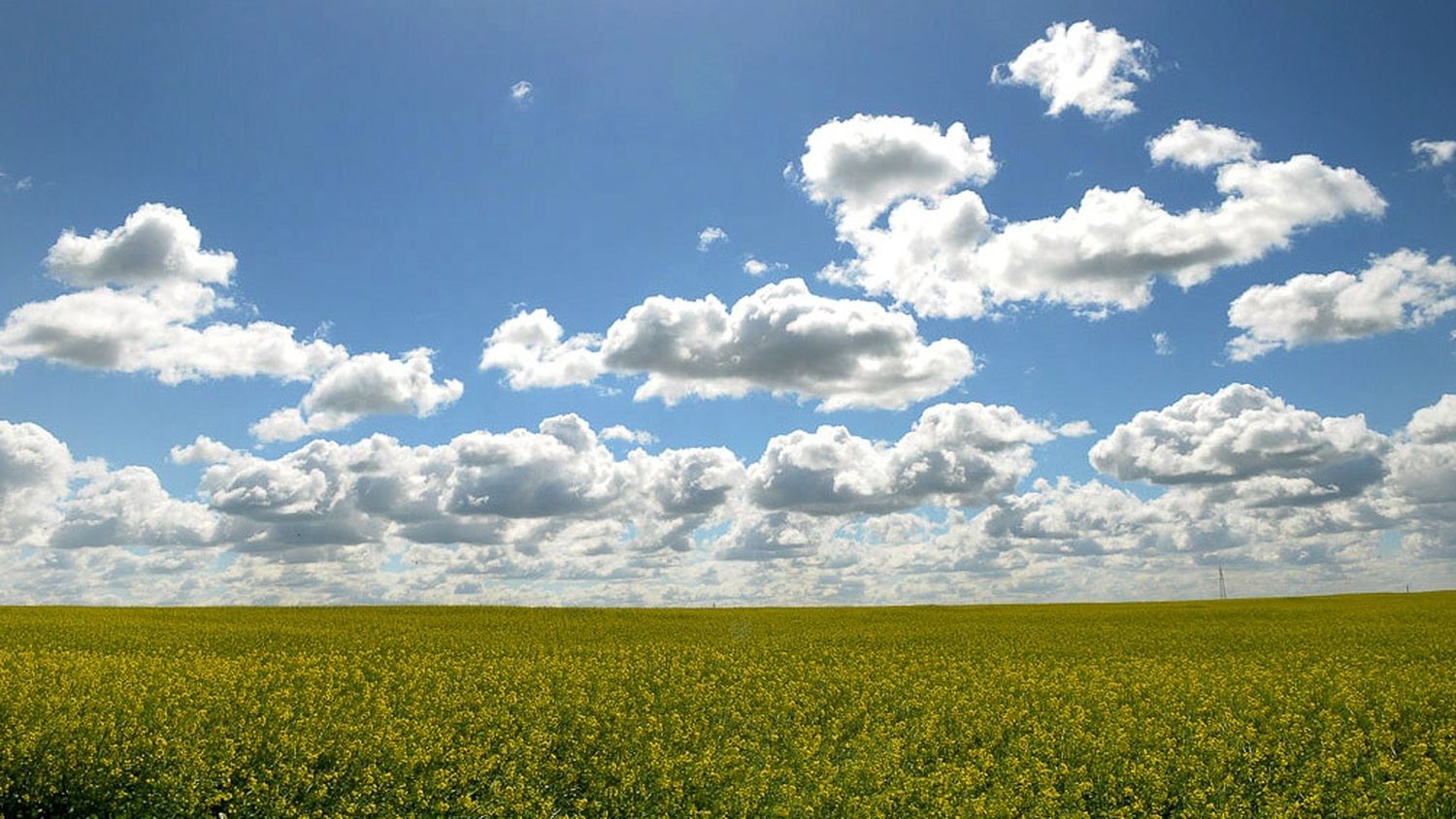 “La Niña” podría volver a afectar la producción agrícola, aunque en forma leve