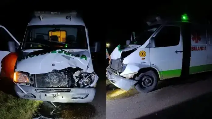 Una ambulancia chocó contra una vaca suelta mientras trasladaba una urgencia médica en la Ruta 4
