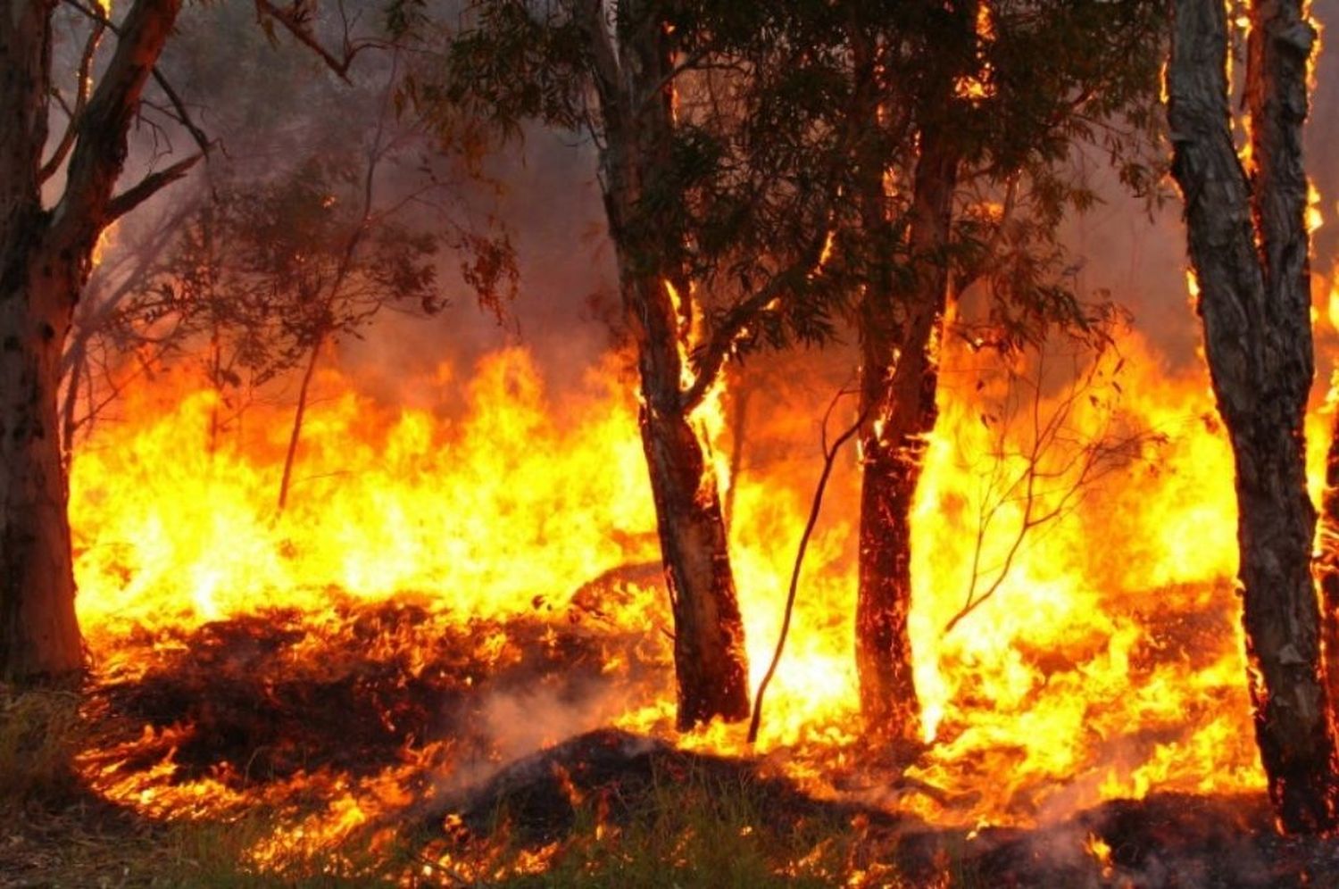 Permanecen activos dos focos de incendios en zona de Gualeguay