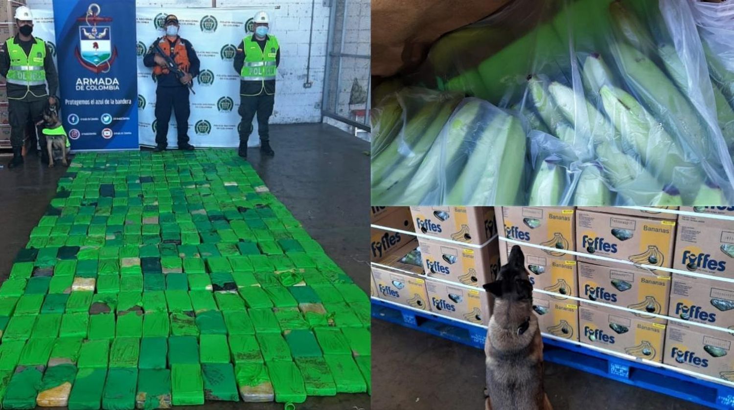 Cae una tonelada de cocaína en el puerto de Santa Marta