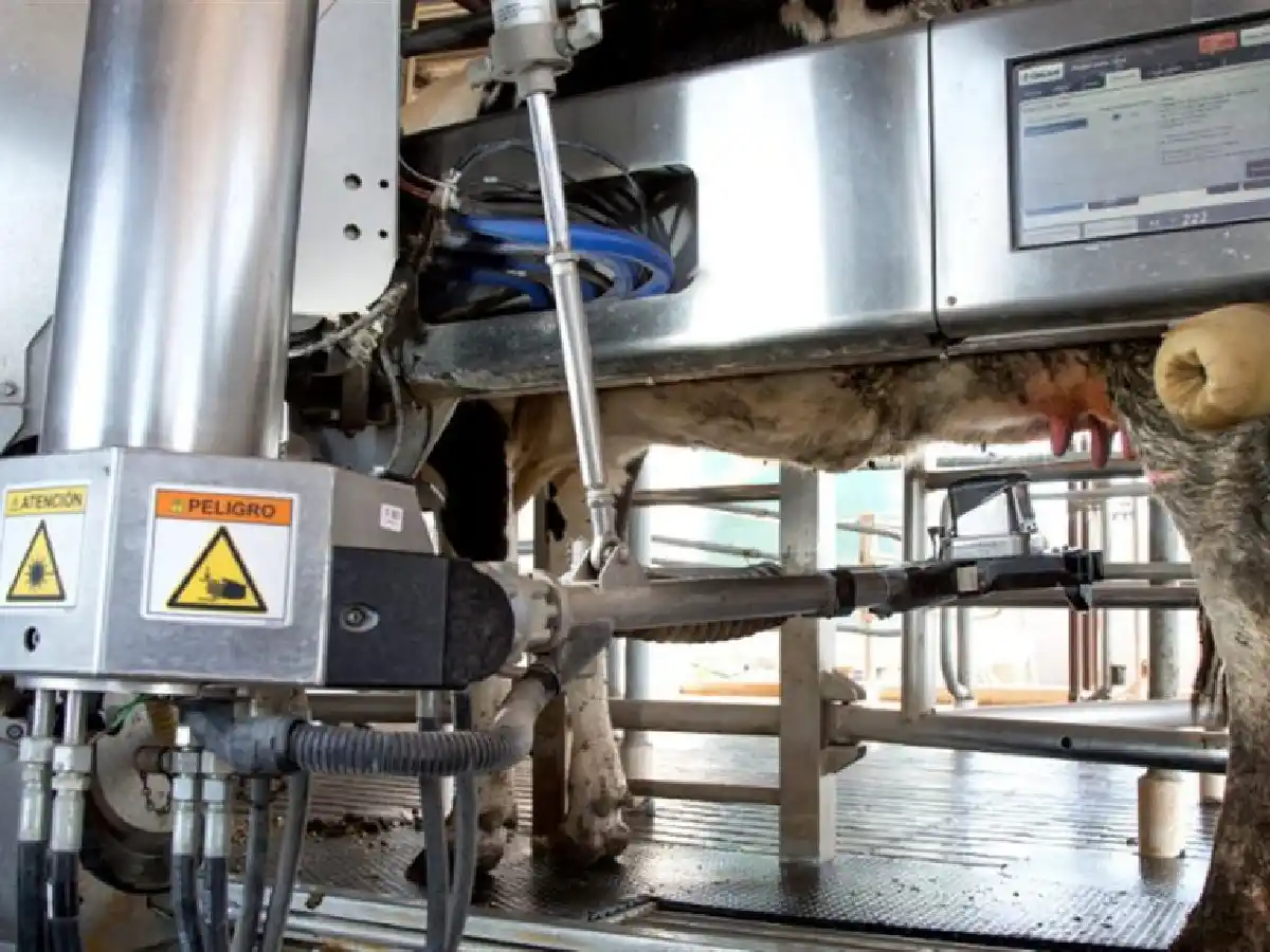 Villa María construye el primer tambo robot en una escuela        