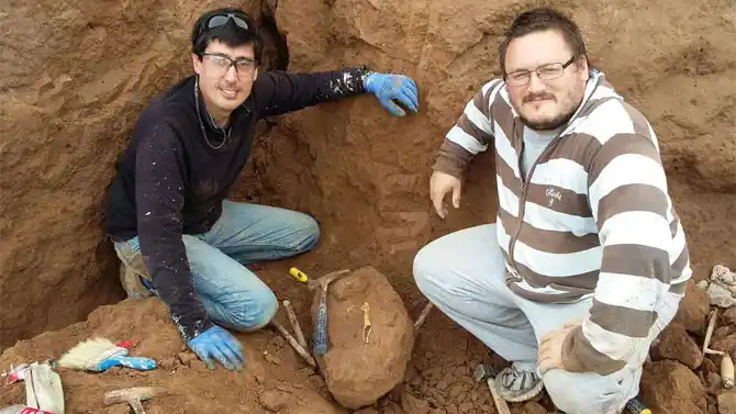 MAR DEL PLATA: Encontraron fósiles de aves prehistóricas