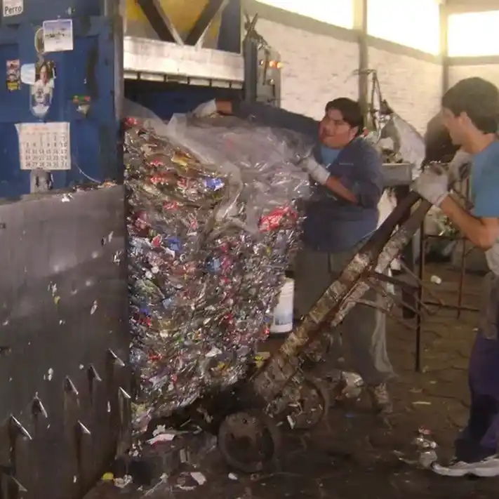 Buscan declarar como servidores públicos a los recicladores