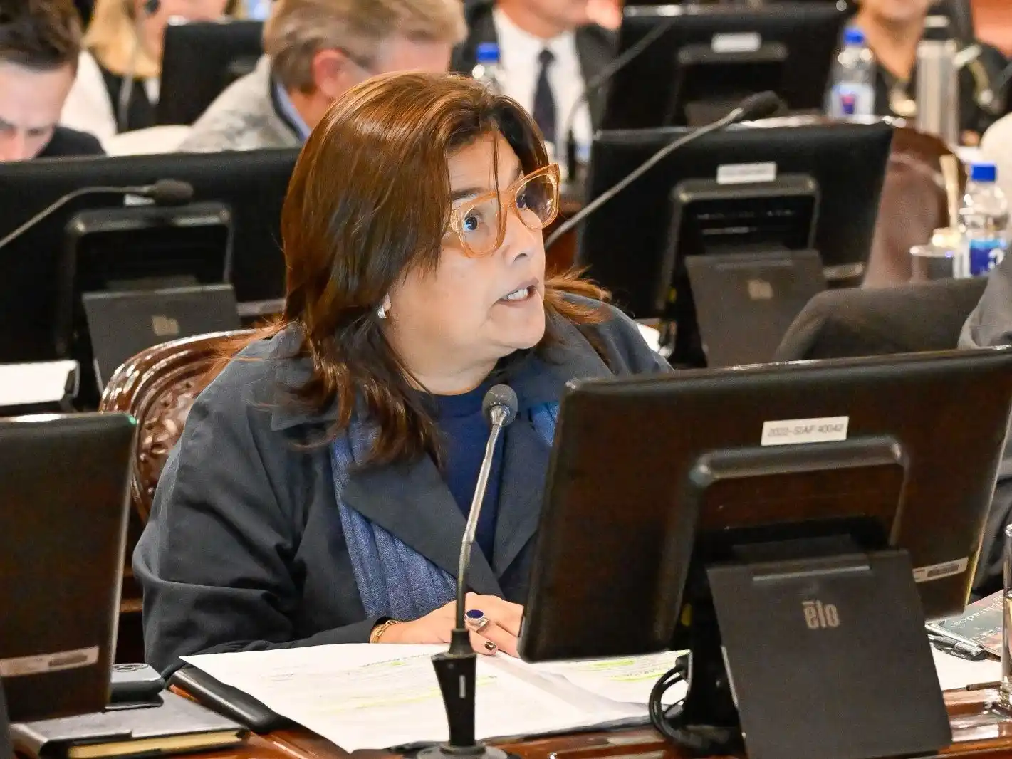 Impulsan una Ley de Emergencia en Discapacidad en Entre Ríos