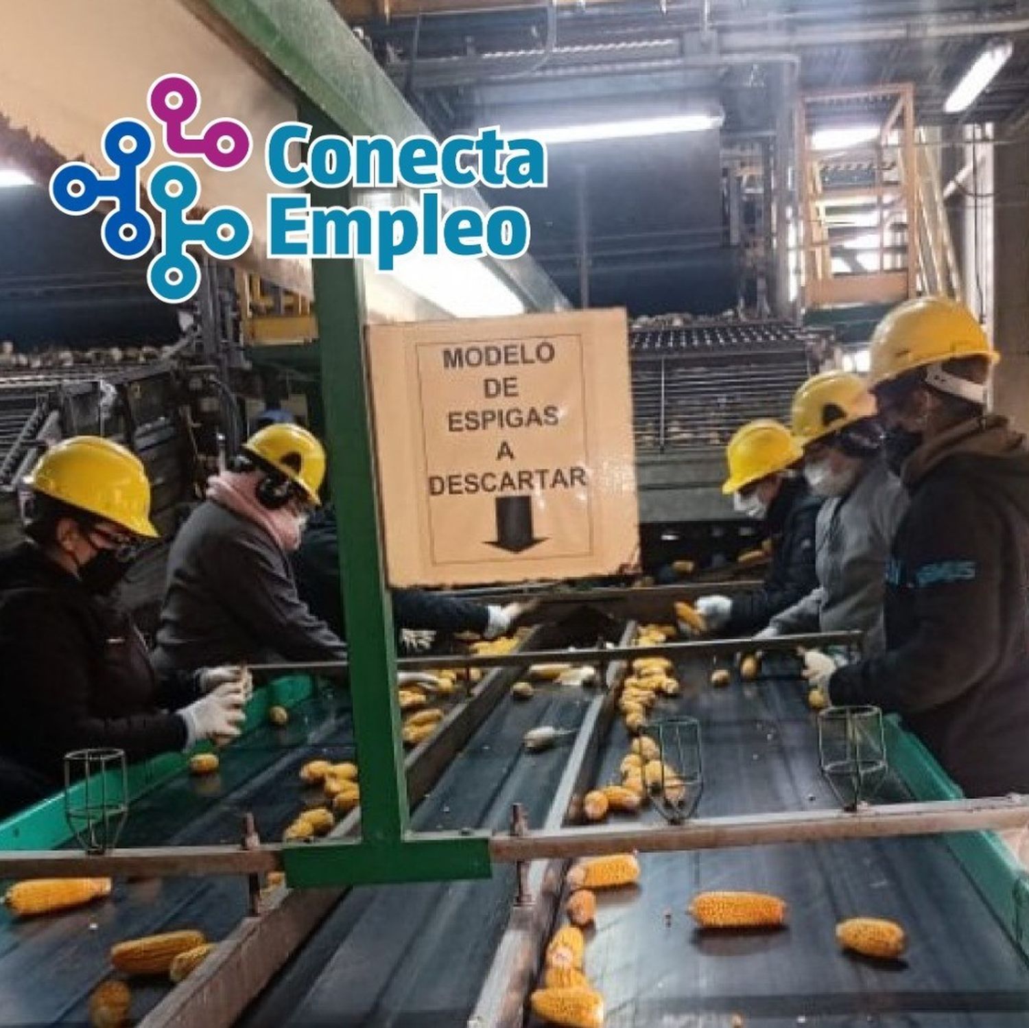 Abren la inscripción al curso de Operario de Planta Semillera