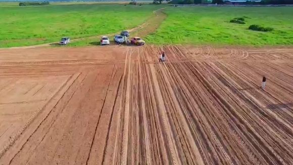 Anuncian exoneración de impuestos a productores de maní en El Tigre