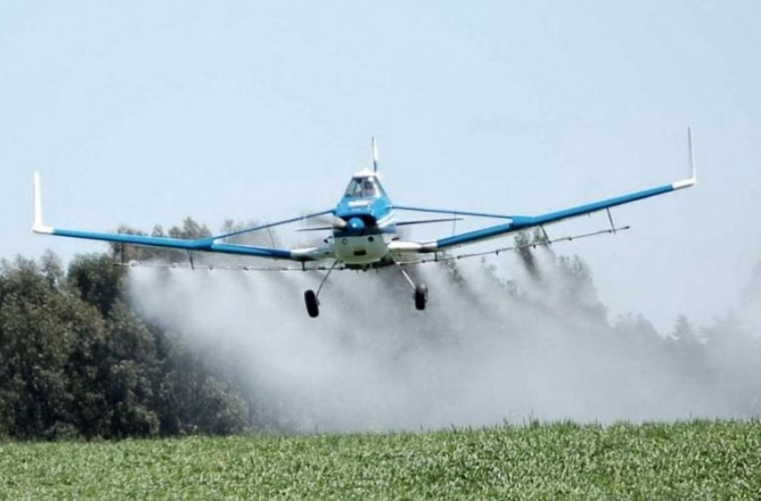 El gobierno extenderá la suspensión de la norma que permite fumigar con agrotóxicos