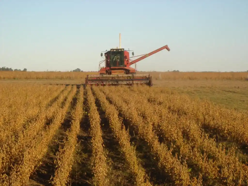 ¿Casualidad o causalidad?: la Mesa de enlace y las comercializadoras de granos