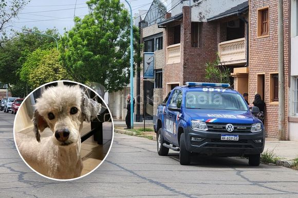 Rompieron una cerradura para entrar a robar y dejaron escapar al perro de la familia