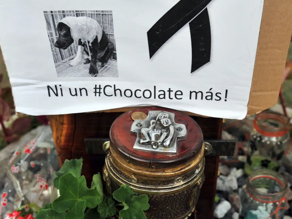 Realizarán un homenaje a Chocolate