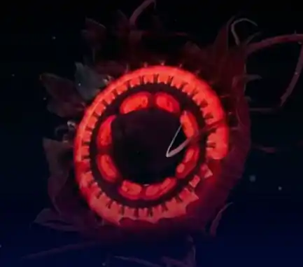 Otro hallazgo increíble durante el streaming del Conicet