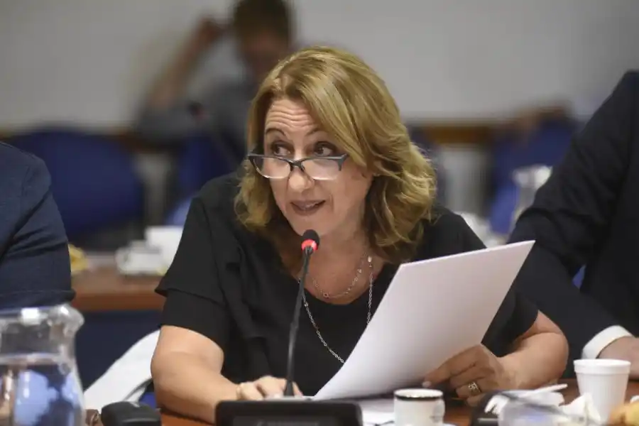 Mónica Fein volvió  a pedir una respuesta urgente para los subsidios del interior
