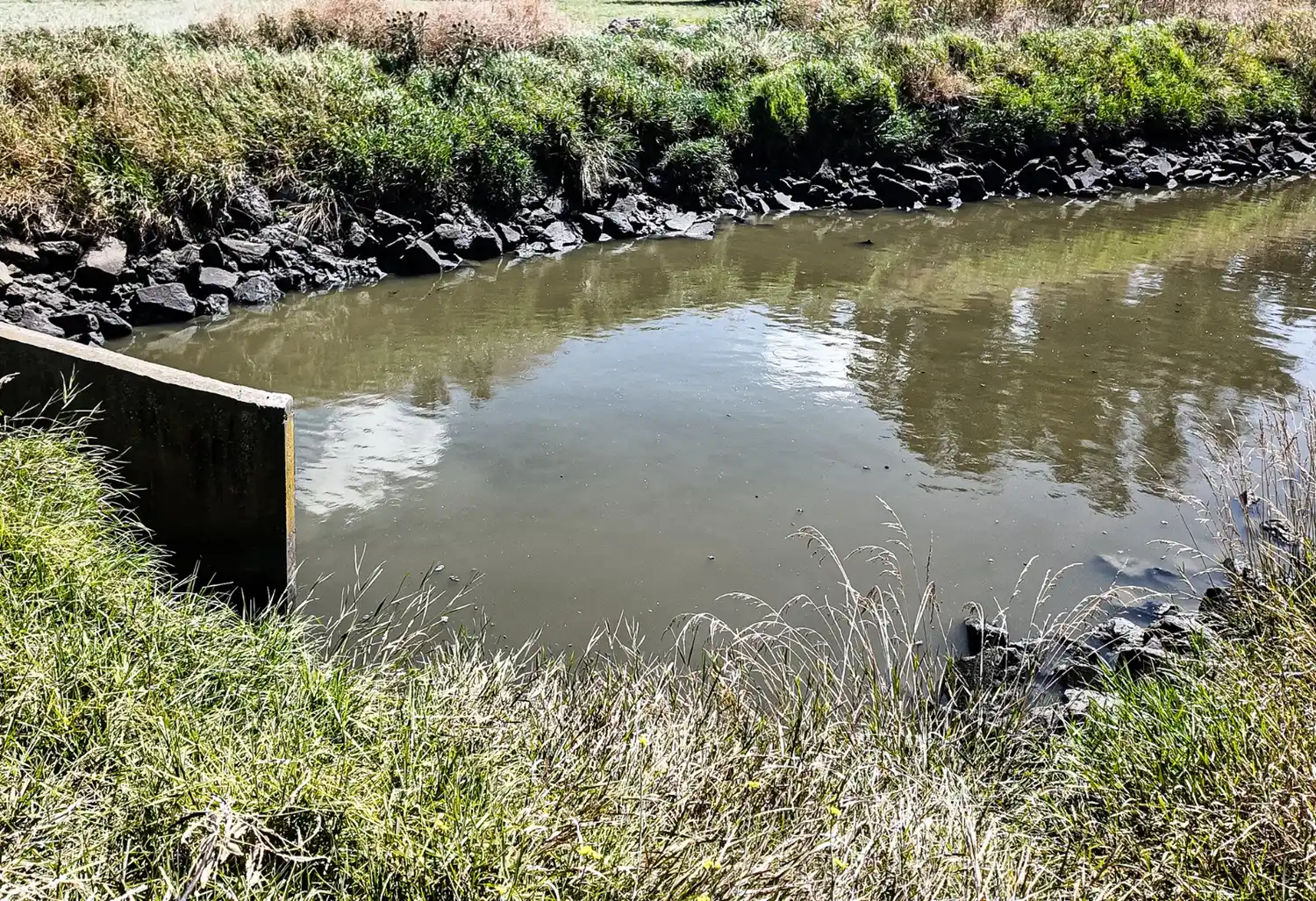 La zona donde se percibe el olor