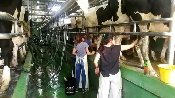 Entre Ríos es la provincia en la que más tambos se cerraron