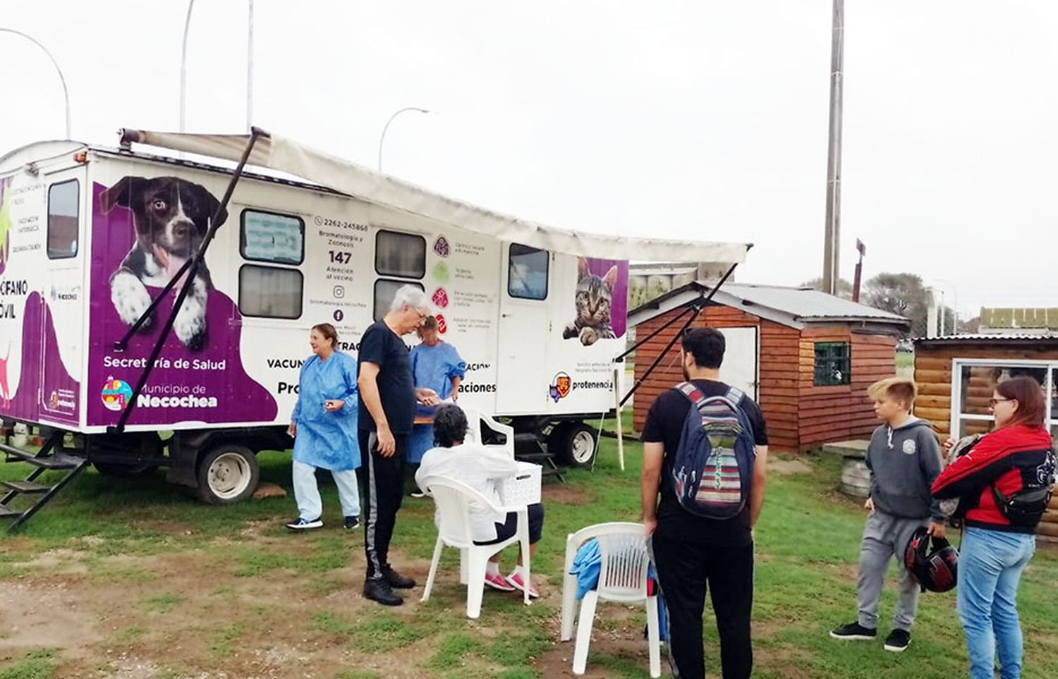 Es intenso el ritmo de cirugías de mascotas en el quirófano móvil de la Municipalidad